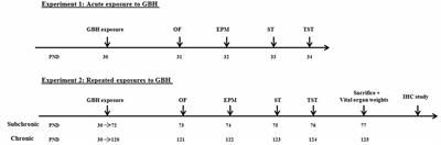 Behavioral and Immunohistochemical Study of the Effects of Subchronic and Chronic Exposure to Glyphosate in Mice